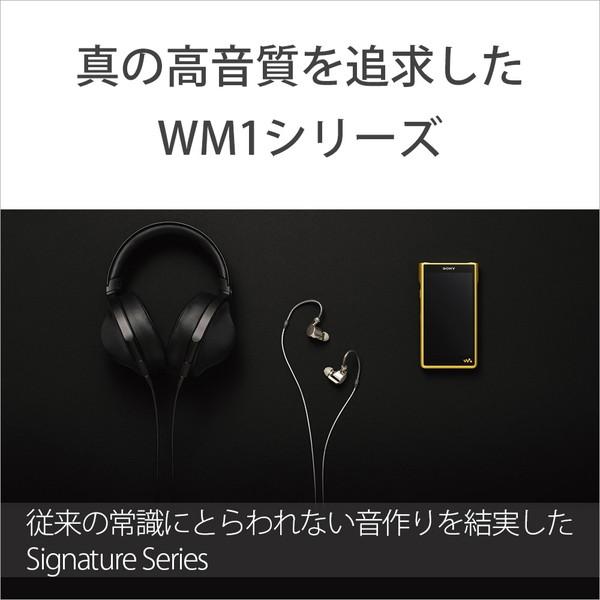 SONY(ソニー) ウォークマンWALKMAN2022年モデル WM1シリーズ ゴールド NW-WM1ZM2 ［ハイレゾ対応 /256GB］ | SONY | 02