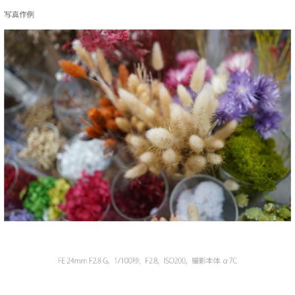 SONY(ソニー) カメラレンズ FE 24mm F2.8 G   SEL24F28G ［ソニーE /単焦点レンズ］ [代引不可] | SONY | 02