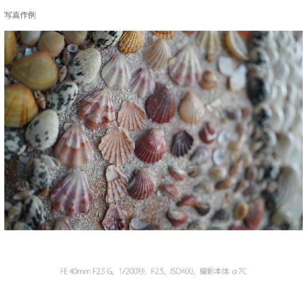 SONY(ソニー) カメラレンズ FE 40mm F2.5 G   SEL40F25G ［ソニーE /単焦点レンズ］ | SONY | 12