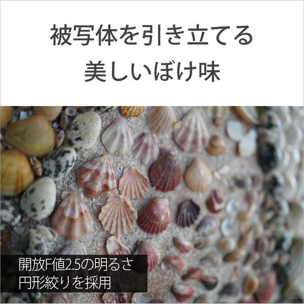 SONY(ソニー) カメラレンズ FE 40mm F2.5 G   SEL40F25G ［ソニーE /単焦点レンズ］ | SONY | 05