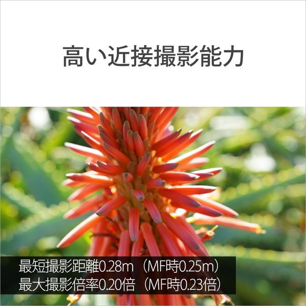 SONY(ソニー) カメラレンズ FE 40mm F2.5 G   SEL40F25G ［ソニーE /単焦点レンズ］ | SONY | 06