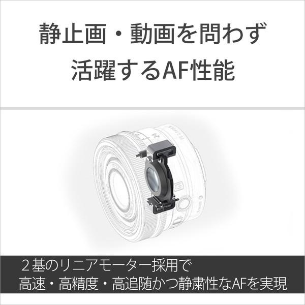 SONY SONY(ソニー) カメラレンズ FE 40mm F2.5 G SEL40F25G SONY SONY(ソニー) カメラレンズ FE 40mm F2.5 G SEL40F25G