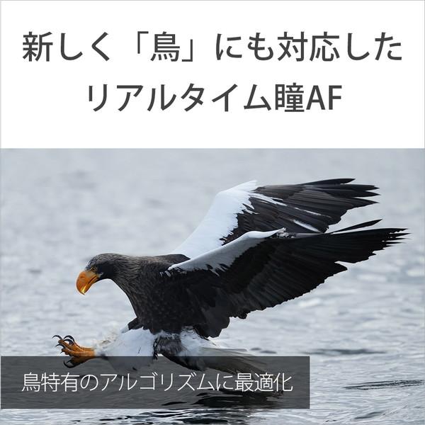 SONY(ソニー) α1 ミラーレス一眼カメラ   ILCE-1 ［ボディ単体］ [代引不可] | SONY | 14