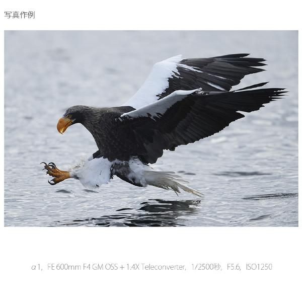 SONY(ソニー) α1 ミラーレス一眼カメラ   ILCE-1 ［ボディ単体］ [代引不可] | SONY | 16