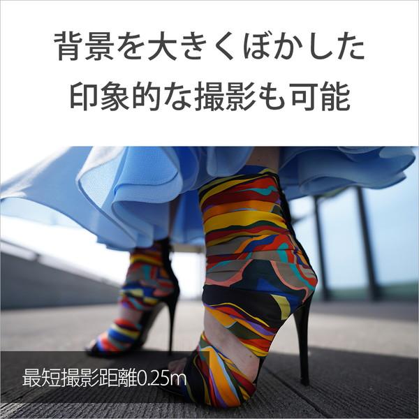 SONY(ソニー) カメラレンズ FE 14mm F1.8 GM   SEL14F18GM ［ソニーE /単焦点レンズ］ [代引不可] | SONY | 06