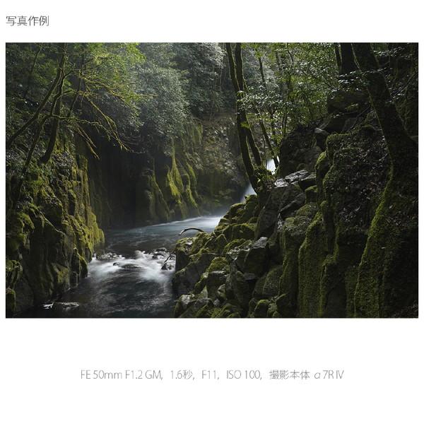 SONY(ソニー) カメラレンズ FE 50mm F1.2 GM   SEL50F12GM ［ソニーE /単焦点レンズ］ [代引不可] | SONY | 14