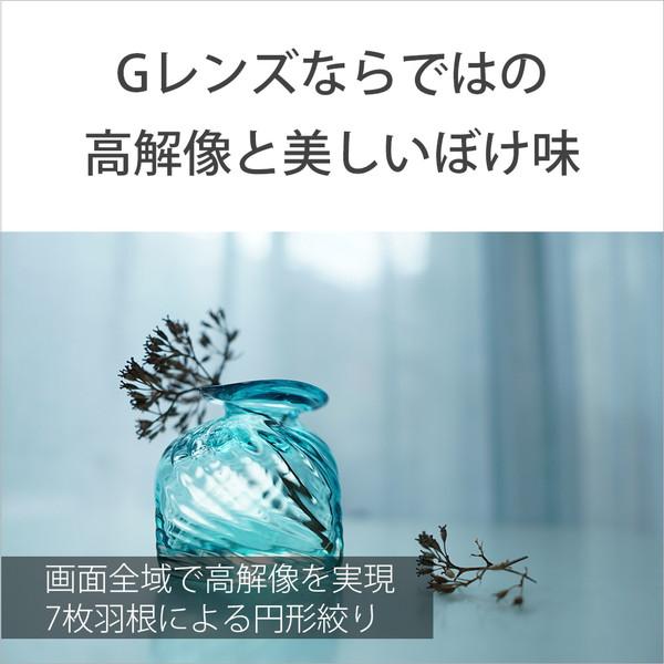 SONY(ソニー) カメラレンズ E 15mm F1.4 G   SEL15F14G ［ソニーE /単焦点レンズ］ 【864】 [代引不可] | SONY | 03