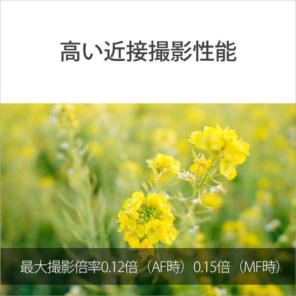 SONY(ソニー) カメラレンズ E 15mm F1.4 G   SEL15F14G ［ソニーE /単焦点レンズ］ 【864】 [代引不可] | SONY | 07