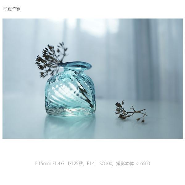 SONY(ソニー) カメラレンズ E 15mm F1.4 G   SEL15F14G ［ソニーE /単焦点レンズ］ 【864】 [代引不可] | SONY | 09