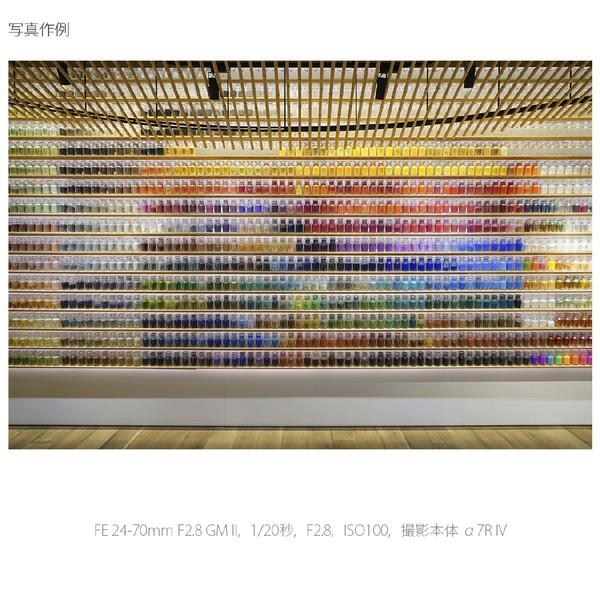 SONY(ソニー) カメラレンズ  FE 24-70mm F2.8 GM II   SEL2470GM2 ［ソニーE /ズームレンズ］ [代引不可] | SONY | 13