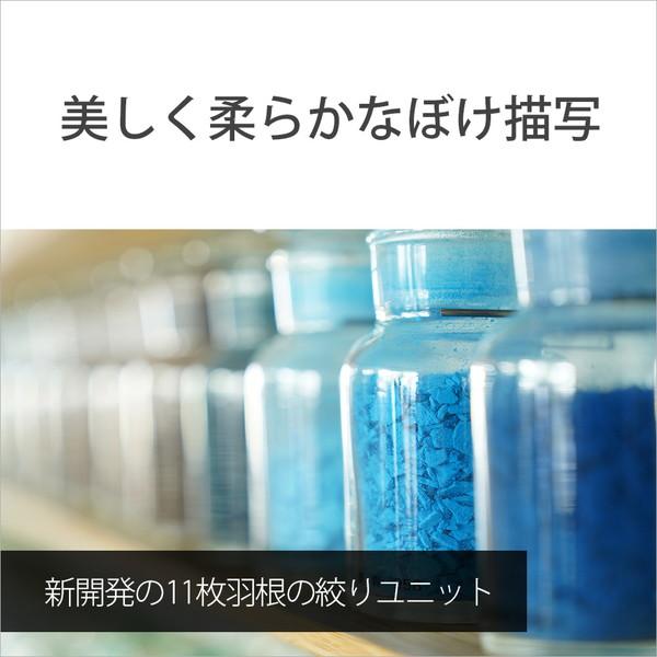 SONY(ソニー) カメラレンズ  FE 24-70mm F2.8 GM II   SEL2470GM2 ［ソニーE /ズームレンズ］ [代引不可] | SONY | 06