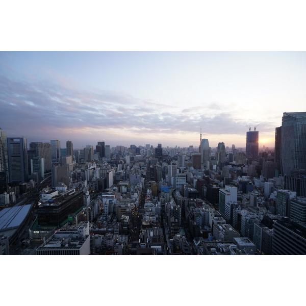 SONY(ソニー) カメラレンズ FE PZ 16-35mm F4 G   SELP1635G ［ソニーE /ズームレンズ］ 【864】 [代引不可] | SONY | 10