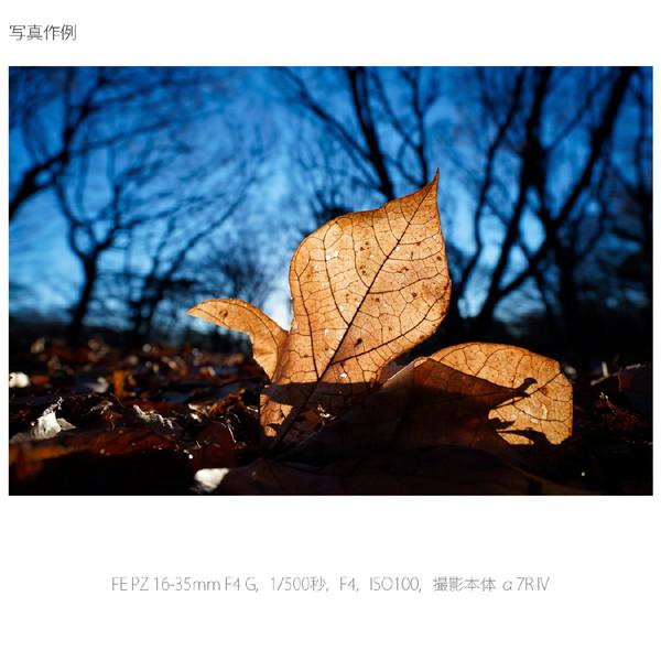 SONY(ソニー) カメラレンズ FE PZ 16-35mm F4 G   SELP1635G ［ソニーE /ズームレンズ］ 【864】 [代引不可] | SONY | 04