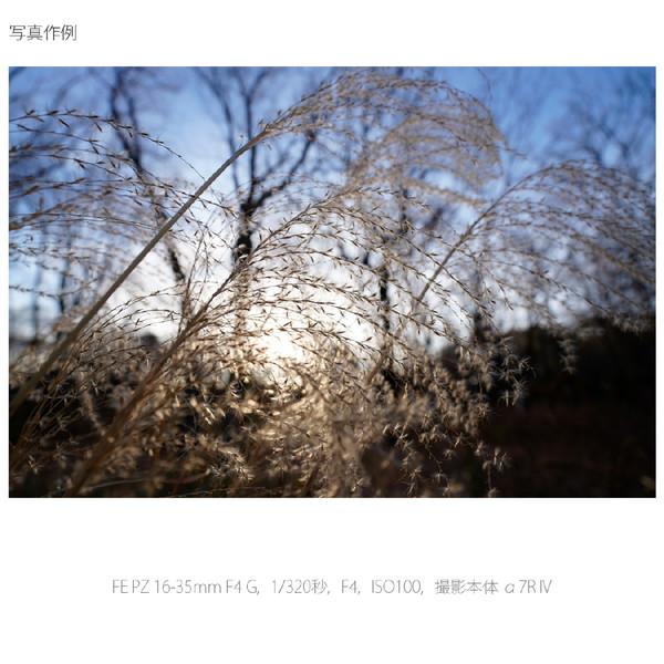 SONY(ソニー) カメラレンズ FE PZ 16-35mm F4 G   SELP1635G ［ソニーE /ズームレンズ］ 【864】 [代引不可] | SONY | 06