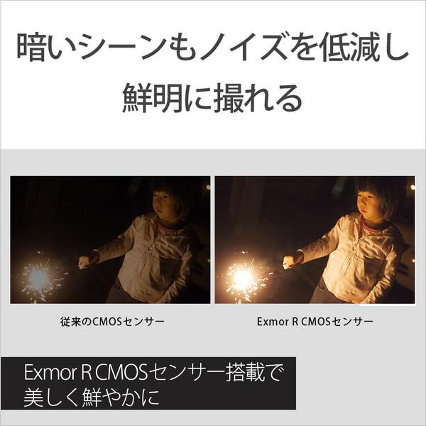 SONY(ソニー) メモリースティック/SD対応 64GBメモリー内蔵 4Kビデオカメラ  ブロンズブラウン FDR-AX45A ［4K対応］ | SONY | 03