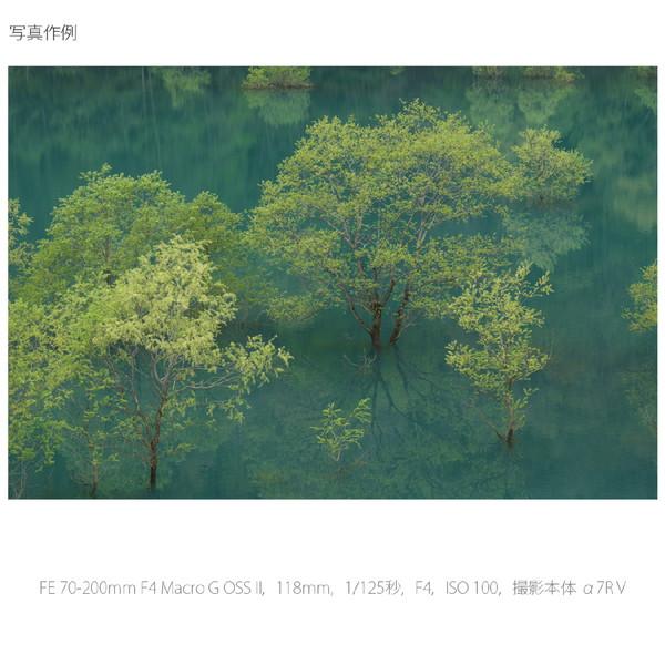 SONY(ソニー) カメラレンズ FE 70-200mm F4 Macro G OSS II  ホワイト SEL70200G2 ［ソニーE /ズームレンズ］ [振込不可][代引不可] | SONY | 10