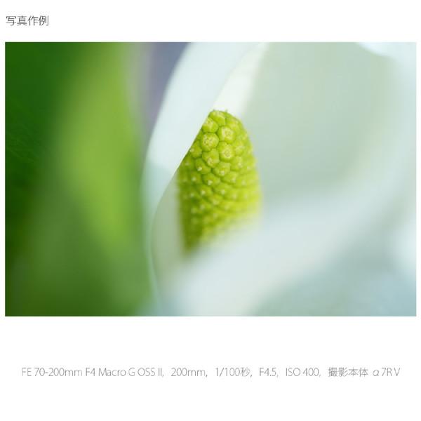 SONY(ソニー) カメラレンズ FE 70-200mm F4 Macro G OSS II  ホワイト SEL70200G2 ［ソニーE /ズームレンズ］ [振込不可][代引不可] | SONY | 11