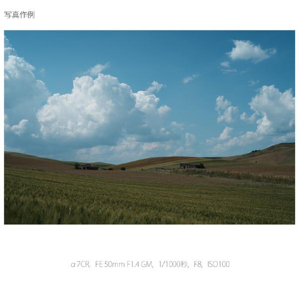 SONY(ソニー) α7CR ミラーレス一眼カメラ  ブラック ILCE-7CR ［ボディ単体］ [振込不可][代引不可] | SONY | 18