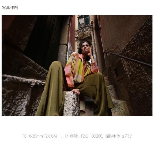 SONY(ソニー) カメラレンズ FE 16-35mm F2.8 GM II   SEL1635GM2 ［ソニーE /ズームレンズ］ [振込不可][代引不可] | SONY | 11