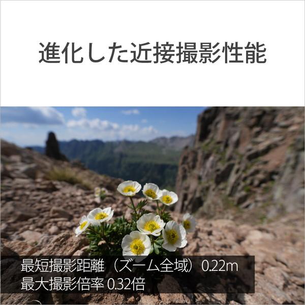 SONY(ソニー) カメラレンズ FE 16-35mm F2.8 GM II   SEL1635GM2 ［ソニーE /ズームレンズ］ [振込不可][代引不可] | SONY | 06