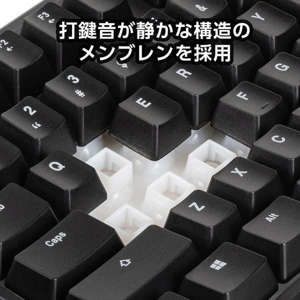 CENTURY(センチュリー) ゲーミングキーボード RACEN テンキーレス ブラック CRC-GMBKRGB02 ［有線 /USB］ | CENTURY（電子機器） | 04