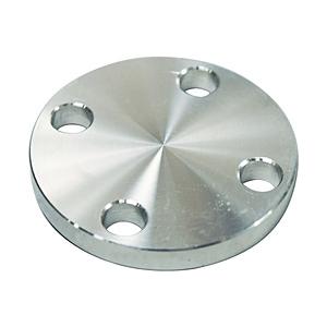 フローバル SUS304 5K 閉止フランジ 14100553 SUS5KBLFF15A | 