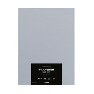 Canon(キヤノン) 【純正】 〔インクジェット〕 キヤノン写真用紙・光沢 プロ プラチナグレード 0.30mm （A2サイズ・20枚）　PT-201A220 | キヤノン
