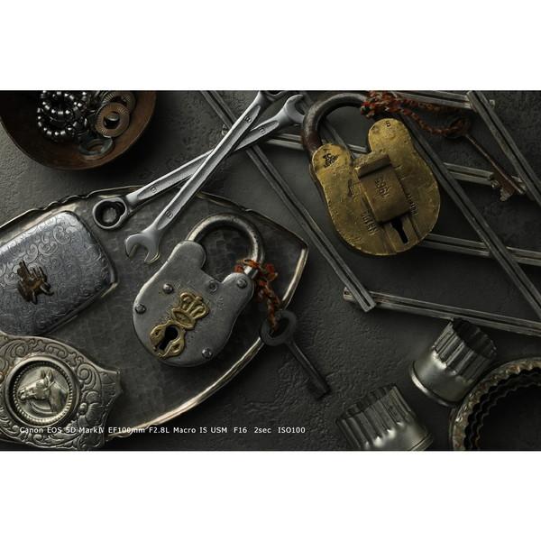 Canon(キヤノン) EOS 5D Mark IV ボディ [キヤノンEFマウント] フルサイズデジタル一眼レフカメラ [振込不可] | キヤノン | 10