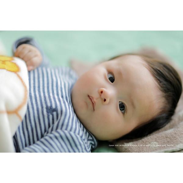 Canon(キヤノン) EOS 5D Mark IV ボディ [キヤノンEFマウント] フルサイズデジタル一眼レフカメラ [振込不可] | キヤノン | 12