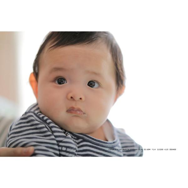 Canon(キヤノン) EOS 5D Mark IV ボディ [キヤノンEFマウント] フルサイズデジタル一眼レフカメラ [振込不可] | キヤノン | 13