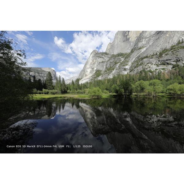 Canon(キヤノン) EOS 5D Mark IV ボディ [キヤノンEFマウント] フルサイズデジタル一眼レフカメラ [振込不可] | キヤノン | 06