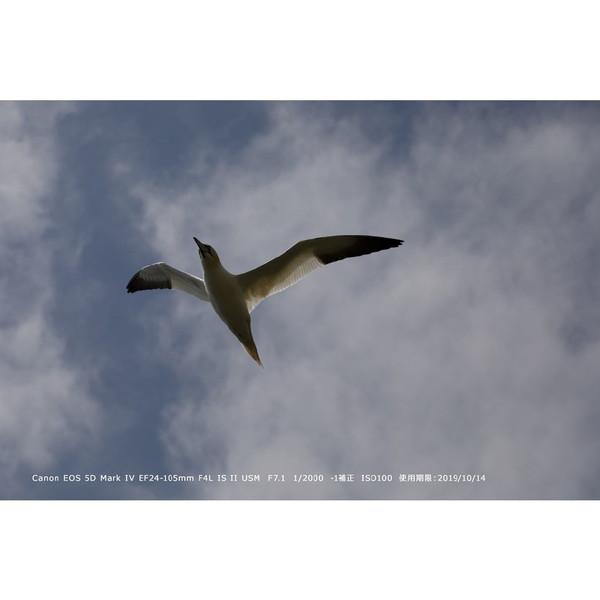 Canon(キヤノン) EOS 5D Mark IV ボディ [キヤノンEFマウント] フルサイズデジタル一眼レフカメラ [振込不可] | キヤノン | 09