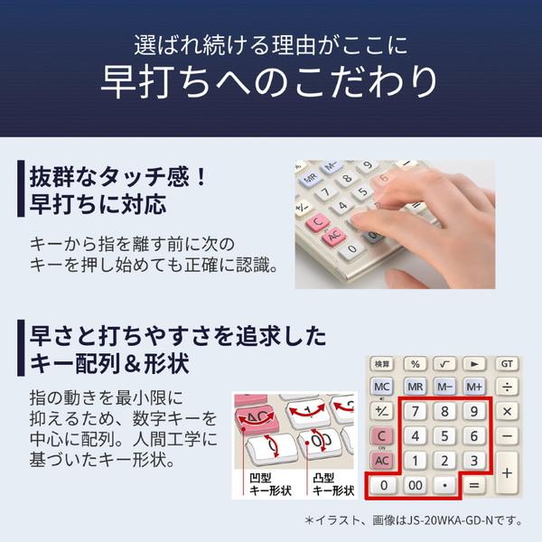 CASIO(カシオ) 本格実務電卓(検算)   DS-20WKA-N ［12桁］ | CASIO | 03