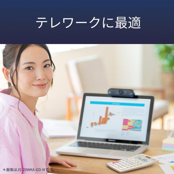 CASIO(カシオ) 本格実務電卓(検算)   DS-20WKA-N ［12桁］ | CASIO | 07