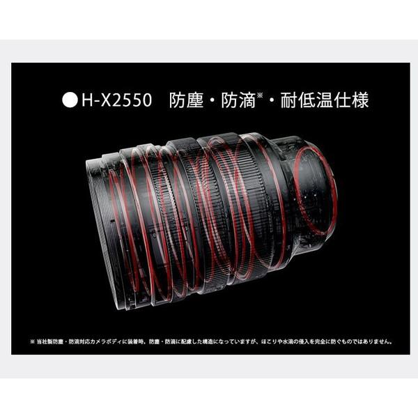 Panasonic（パナソニック） カメラレンズ LEICA DG VARIO-SUMMILUX 25