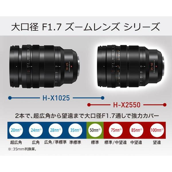 Panasonic（パナソニック） カメラレンズ LEICA DG VARIO-SUMMILUX 25