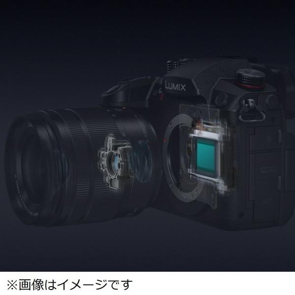 Panasonic(パナソニック) LUMIX GH5 II ミラーレス一眼カメラ   DC-GH5M2 ［ボディ単体］ | Panasonic | 14