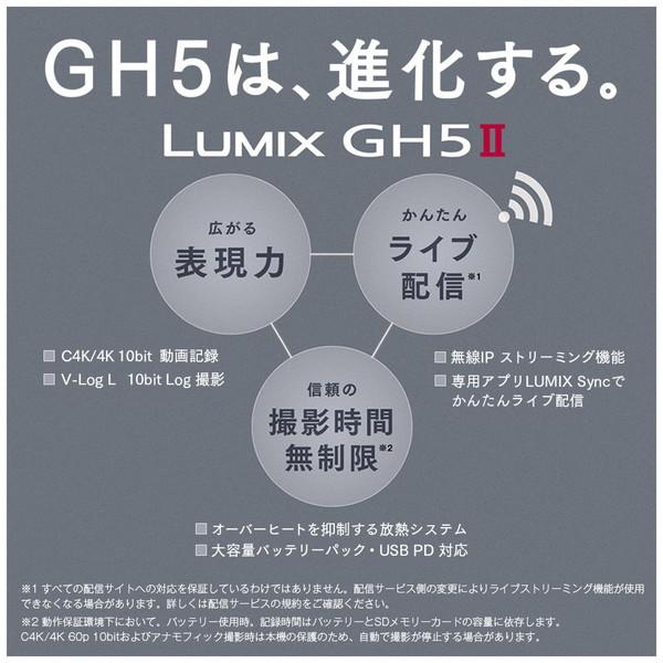 Panasonic(パナソニック) LUMIX GH5 II ミラーレス一眼カメラ 標準ズームレンズキット   DC-GH5M2M ［ズームレンズ］ | Panasonic | 20