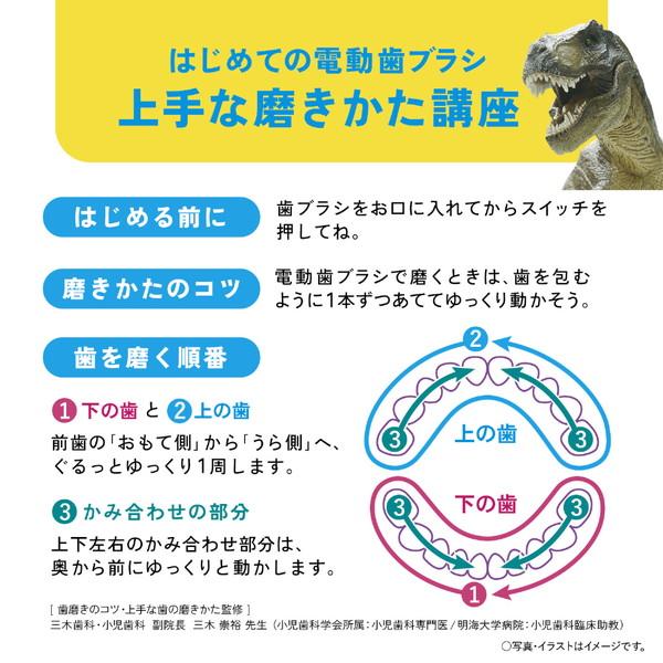 Panasonic(パナソニック) 電動歯ブラシ キッズ用[ドルツ /振動式 /AC100V-240V /こども用]  ピンク EW-DK31-P ［ドルツ /振動式 /AC100V-240V /こども用］ | Panasonic | 08