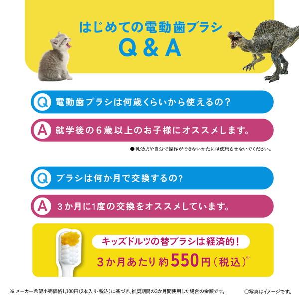 Panasonic(パナソニック) 電動歯ブラシ キッズ用[ドルツ /振動式 /AC100V-240V /こども用]  青 EW-DK31-A ［ドルツ /振動式 /AC100V-240V /こども用］ | Panasonic | 09