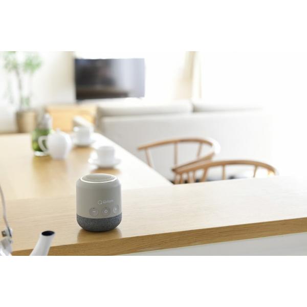 QRIOM テレビ用お手元スピーカー 2.4GHz ワイヤレス  ベージュ YTR-D500-BE |  | 08