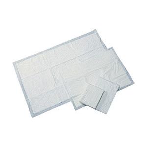 橋本クロス 橋本 吸水パッド 440×600mm （100枚／箱） HL-02 | 