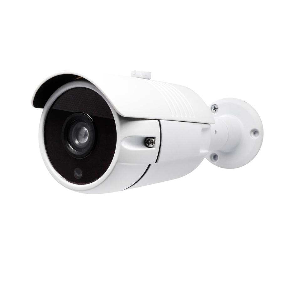 キャロットシステムズ ダミーカメラ（砲弾型アルミ合金製） Alter+（オルタプラス） ホワイト AT-902D |  | 01