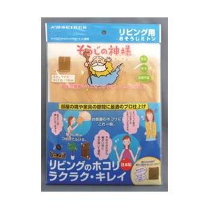 KBセーレン KBSEIREN　そうじの神様　リビング用おそうじミトン S004 | 