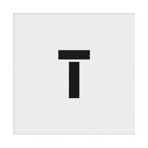 アイマーク IM　ステンシル　T　文字サイズ100×65mm AST-T10065 | アイマーク