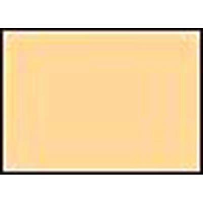 ロスコ シネジェル デイライトコンバージョンフィルター シネサイズ　#3409 | ROTHCO | 02