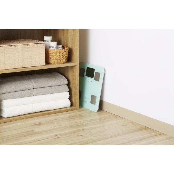 シチズンシステムズ 体組成計 ペパーミント HMS323-PM [振込不可] |  | 04