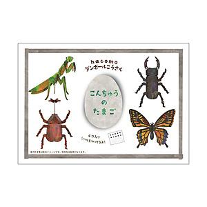 HACOMO egg こんちゅうのたまご | 