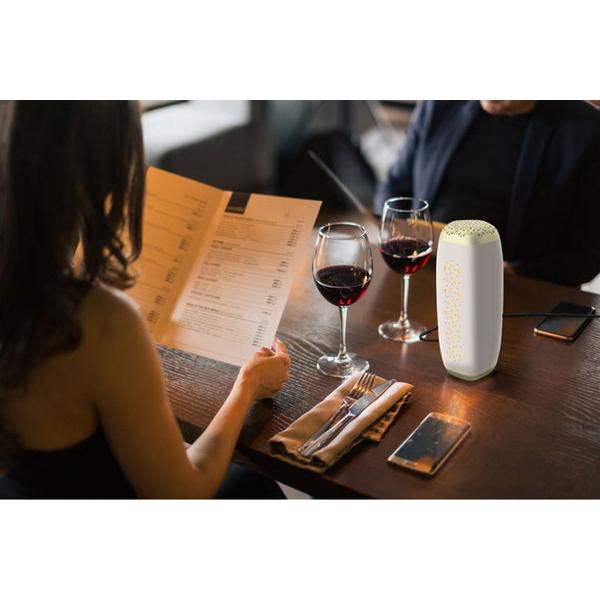 フジコー マットブラック AkariAir（アカリア）  MC-P101-N/BK ［適用畳数：2畳］ |  | 09