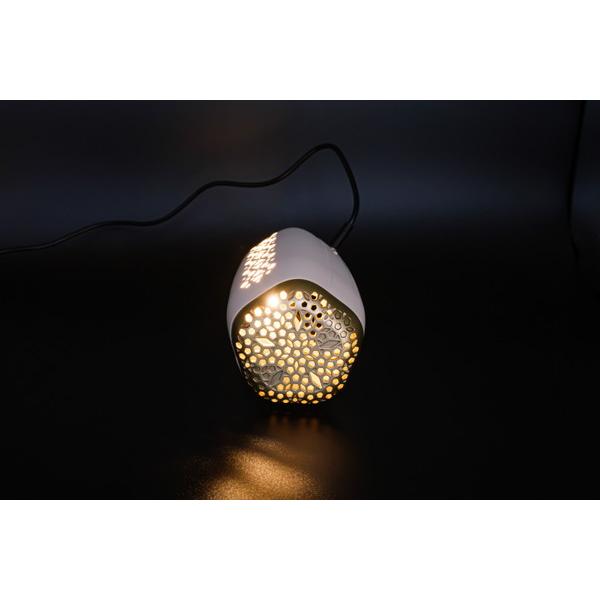 フジコー ウォームホワイト AkariAir（アカリア）  MC-P101-N/WT ［適用畳数：2畳］ |  | 03